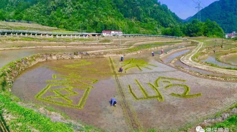 佛坪這些地方，讓你的春游不再單調(diào)！插圖17