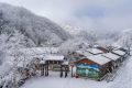 降溫要來了！1月11日—15日陜西多雨雪天氣 陜北降溫8-10 ℃縮略圖