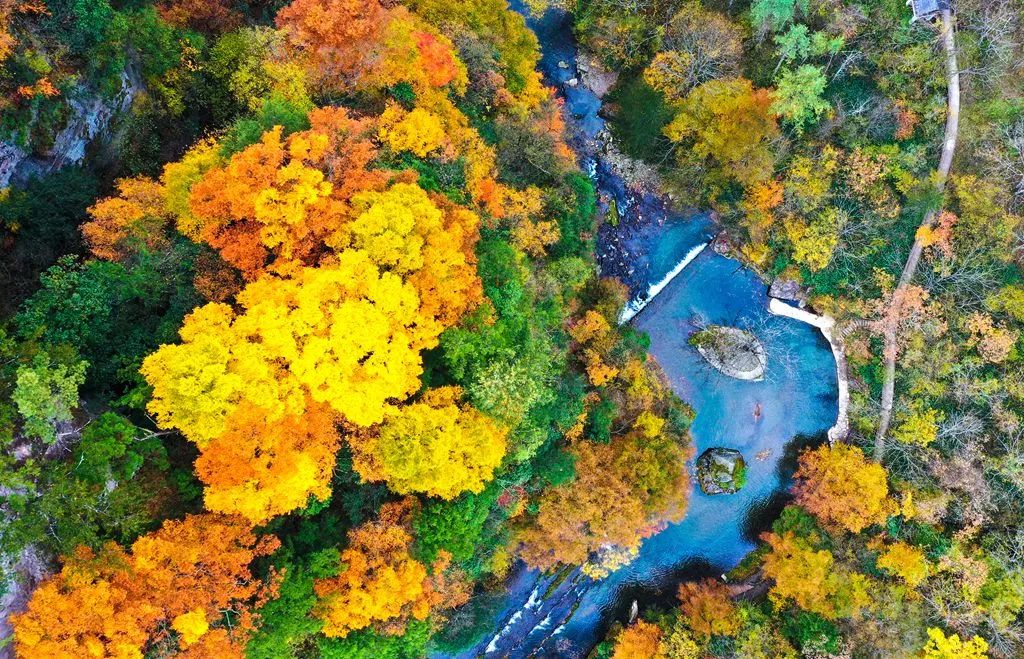 重磅！漢中這家4A景區(qū)全民免門票！