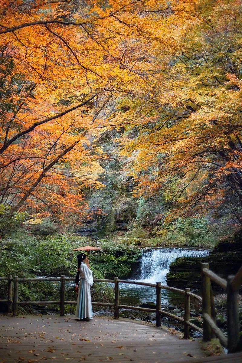 10月1日，漢中黎坪景區(qū)秋高氣爽、景色秀美，還不擁擠，趕緊出發(fā)嘍！