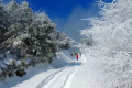 一場浪漫冬雪，讓鎮(zhèn)巴美出圈！縮略圖