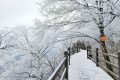 龍頭山今日又下雪啦，每一幀都是“限定浪漫”！縮略圖