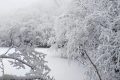 漢江源冰雪季 | 賞雪、嬉雪、看冰瀑，邂逅冬日的浪漫縮略圖