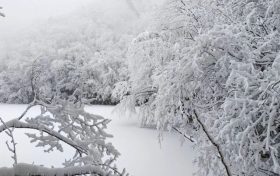 局地積雪可達(dá)10cm！冰雪路面如何安全行車？縮略圖