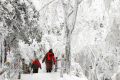 【鬧元宵·賞雪景】一起去漢江源看雪吧！縮略圖